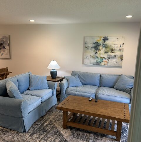 Cozy, Quiet 2 bed/2bath condo in Saddlebrook (3202)